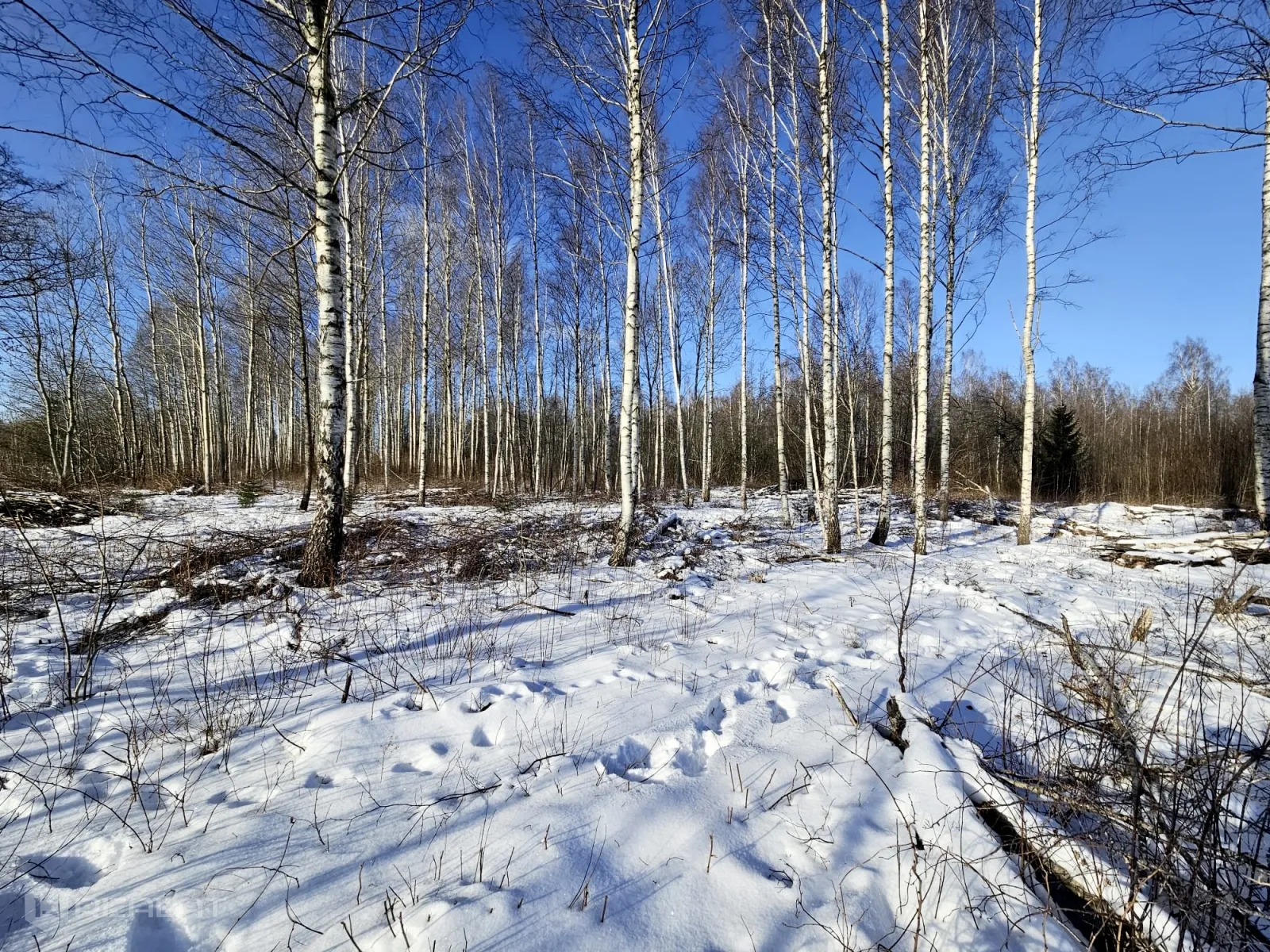 Jaunākie piedāvājumi