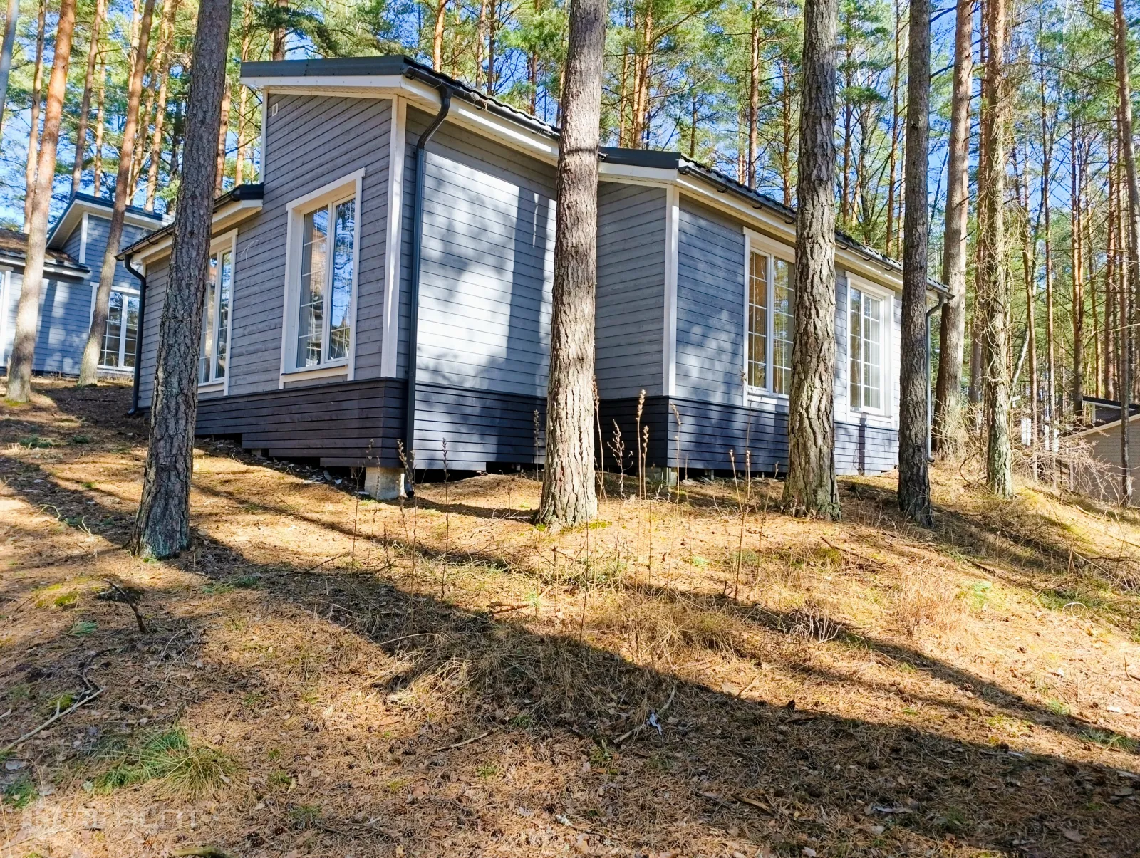 Jaunākie piedāvājumi